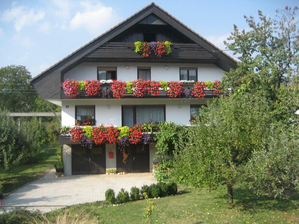 Apartma Unica Apartment